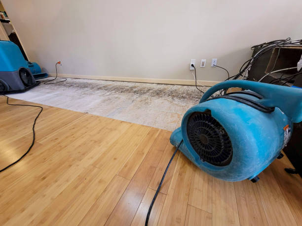 Professional Water Removal technician working in Spring Grove, MN